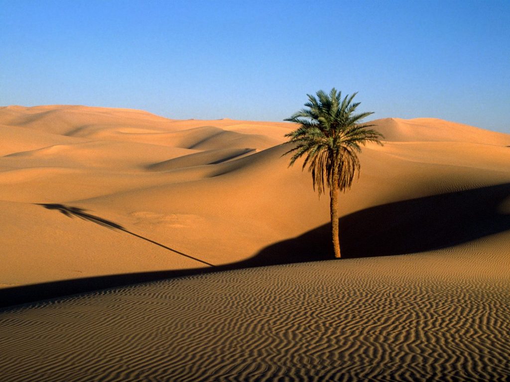 Разнообразные пустыни мира. Пустыня Сахара
