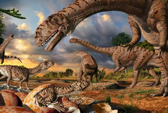 Миллионы лет назад настоящими хозяевами Земли были динозавры. Палеонтологами описано более 500 различных родов и более чем 1000 различных видов. Большинство из них были огромного размера. За миллионы лет существования динозавры расселились по всей территории Земли. Их останки были найдены даже в Антарктиде.