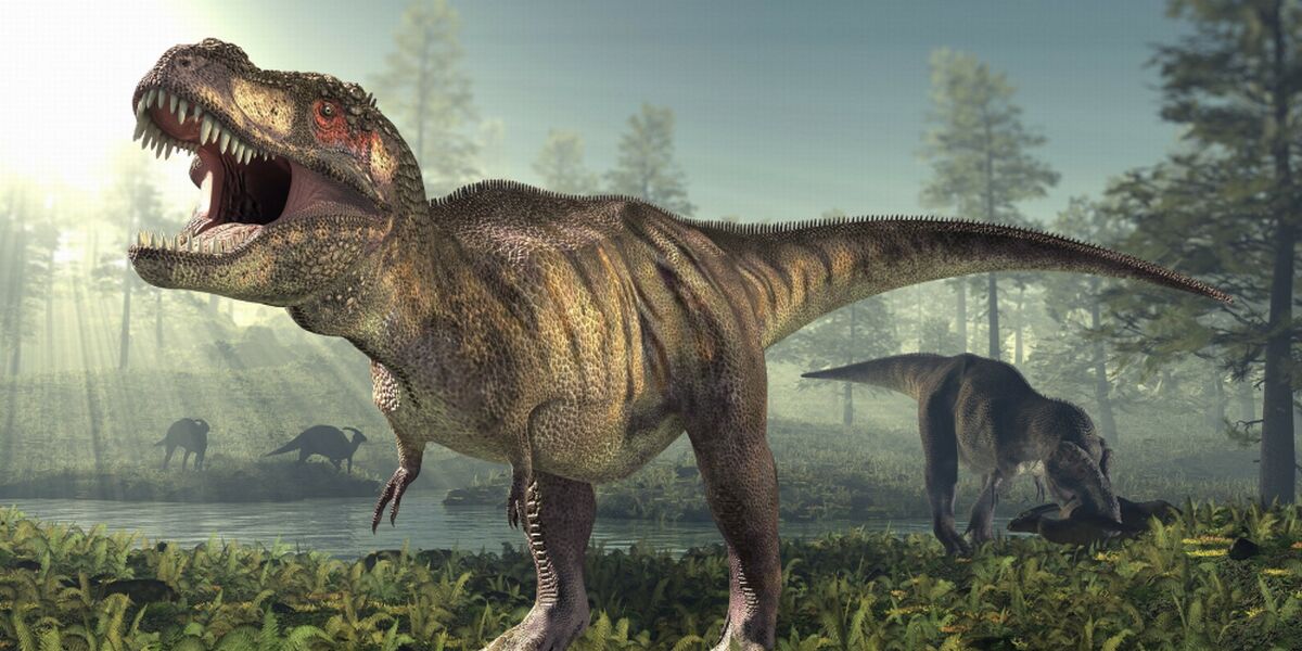 Динозавры - гиганты древнего мира. Тираннозавр рекс