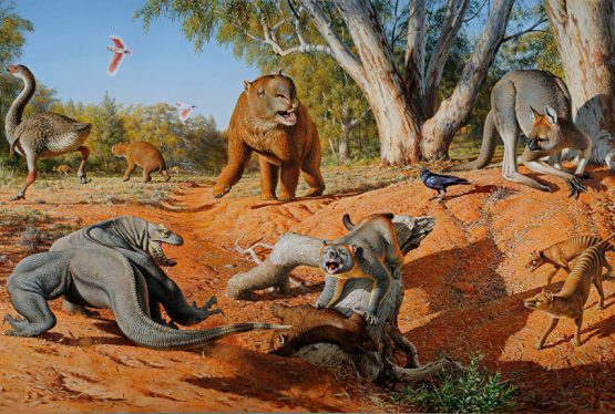 Доисторические животные, жившие на Земле миллионы лет назад, поражают воображение. В первую очередь обычно имеют в виду динозавров, но мало кто знает о тысячах других интересных животных. В те времена флора отличалась невероятными размерами, что позволило появиться животным-великанам.