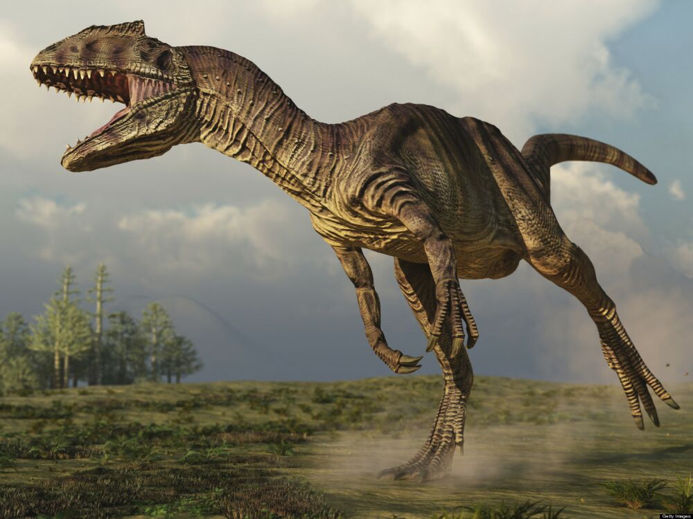 Динозавры - гиганты древнего мира. Аллозавр