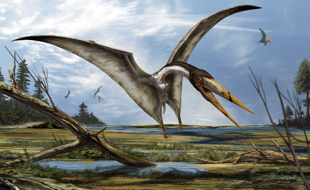 Динозавры - гиганты древнего мира. Птерозавр
