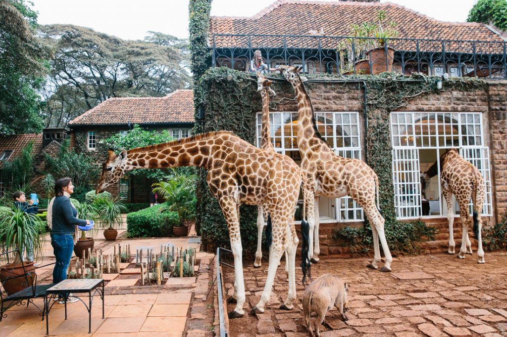 Самые необычные отели. Отель Giraffe Manor, Найроби
