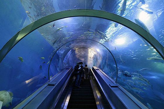 Необычные эскалаторы. Первый подводный эскалатор