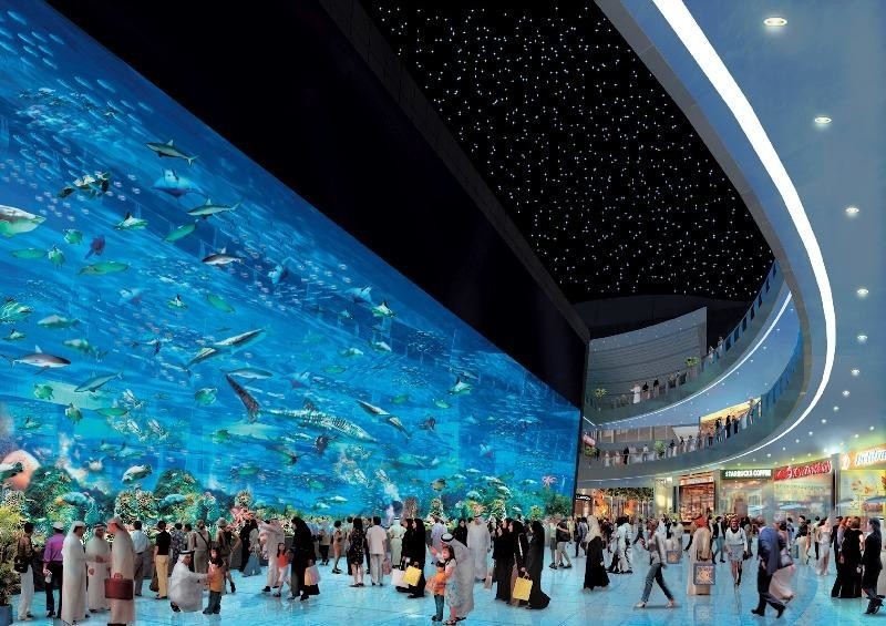 Большие аквариумы. Аквариум торгового центра Дубай Молл