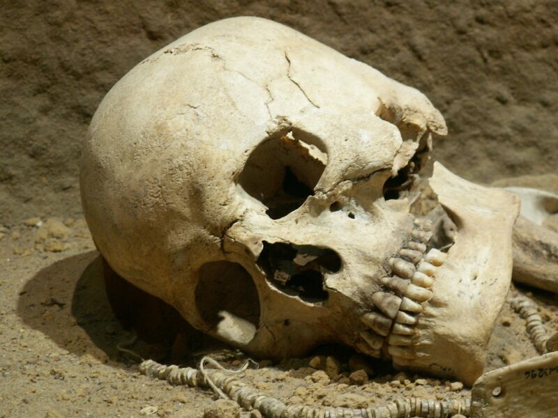 Загадочные археологические находки. «Матрёшка» из черепов