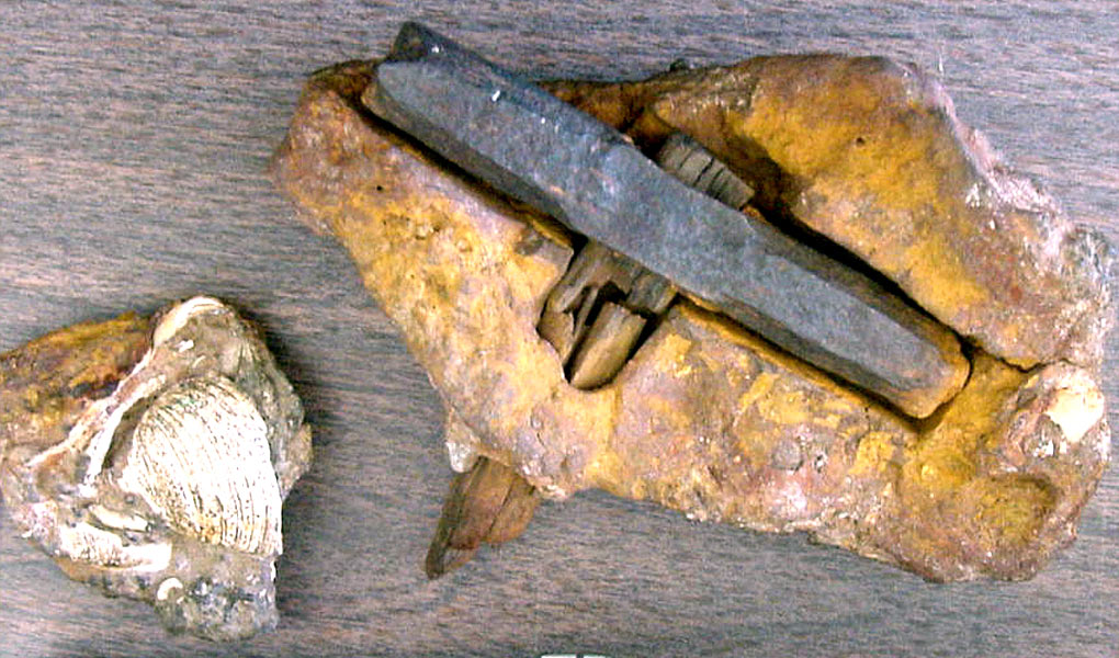 Загадочные археологические находки. Молоток, сделанный до появления людей