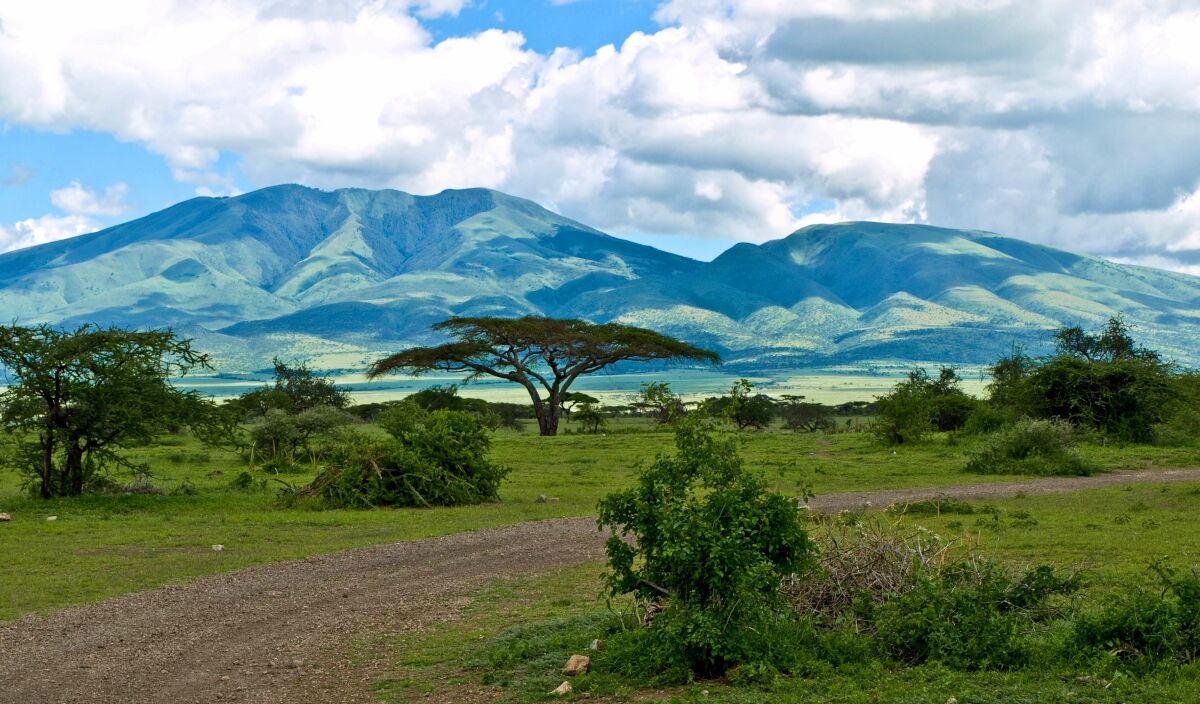 Национальные парки. Национальный парк Серенгети, Танзания