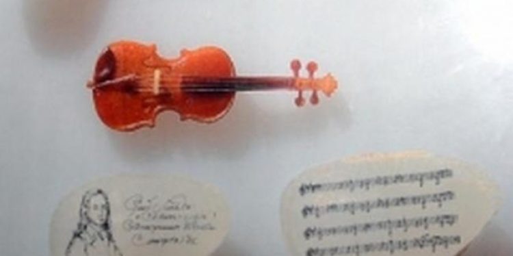  Скрипка имеет все детали настоящего инструмента. Портрет Никколо Паганини выполнен на рисовом зёрнышке. 