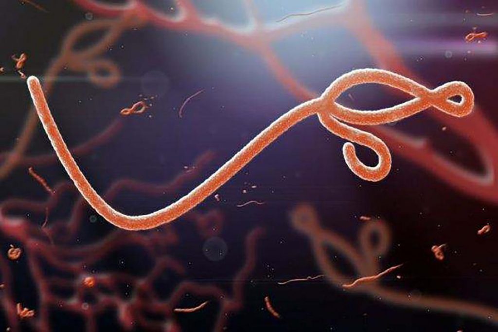 Загадки природы. Вирус Эбола