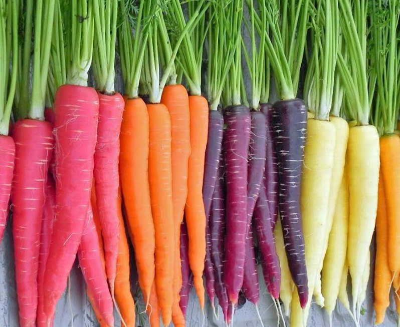 Необычные овощи. Цветная морковь