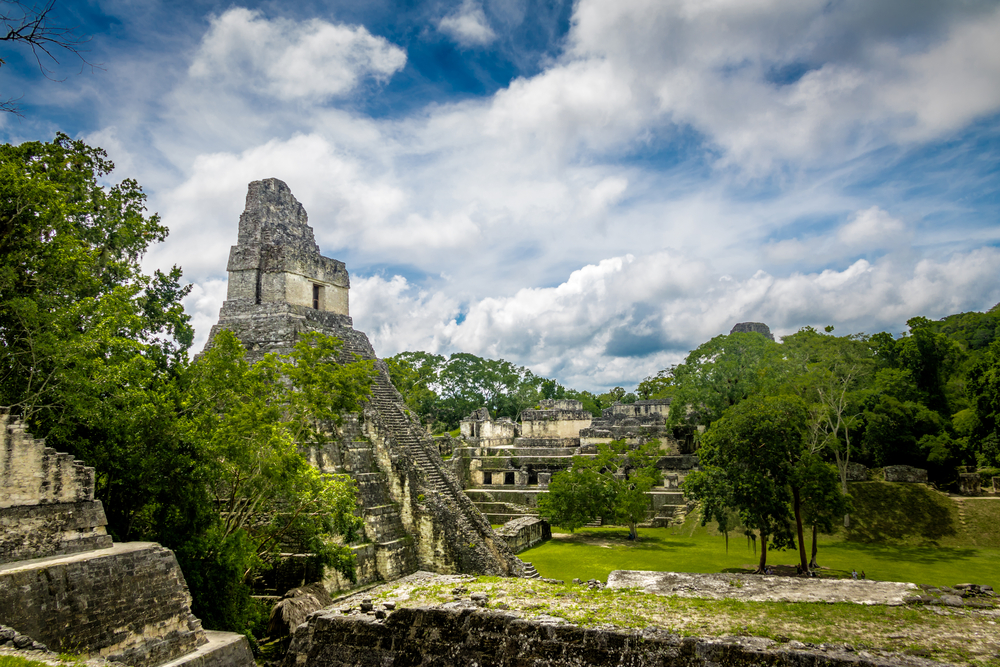 10 лучших научных открытий 2018 года. Останки древней цивилизации майя