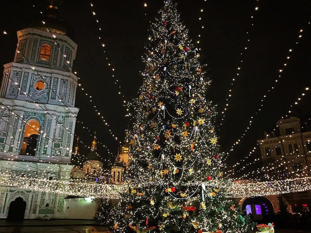 Новогодние елки. Киев