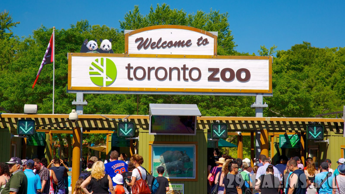 Самые большие и красивые зоопарки. Зоопарк Торонто