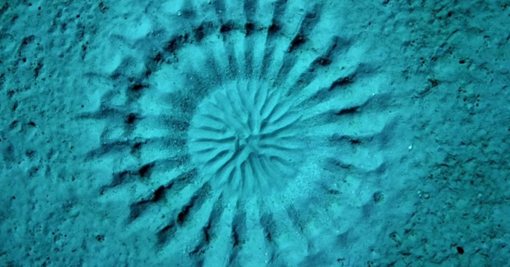 Удивительные природные явления. Подводные круги