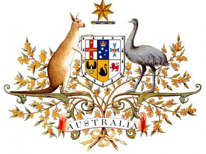 Животные-символы стран. Австралия