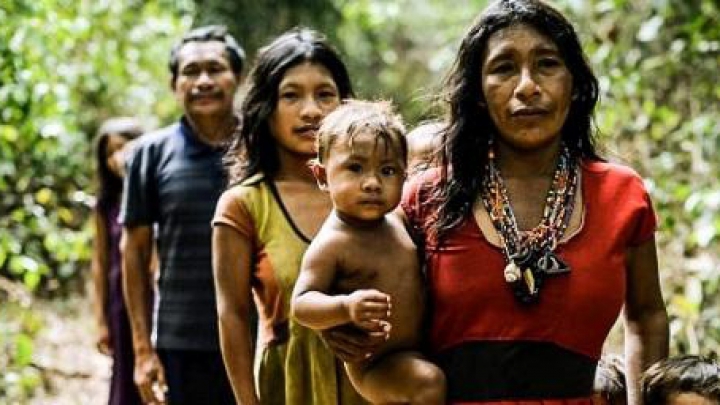 Народ Амазонии Пирахан