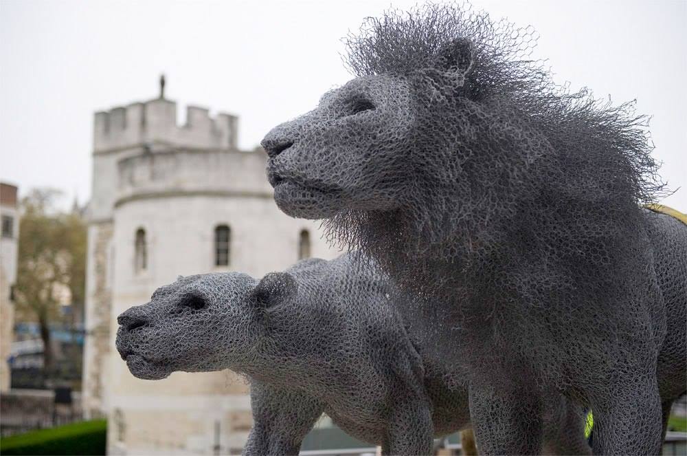 Необычные скульптуры животных. Кендра Хэст