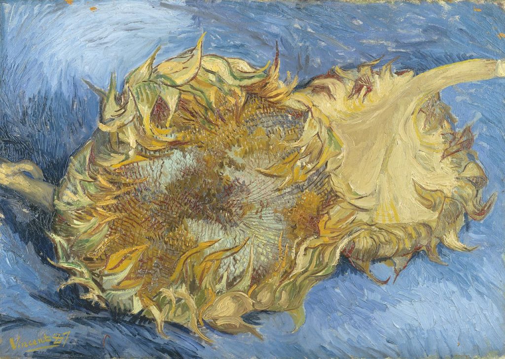 Цветы на картинах. «Подсолнухи», Винсент Ван Гог