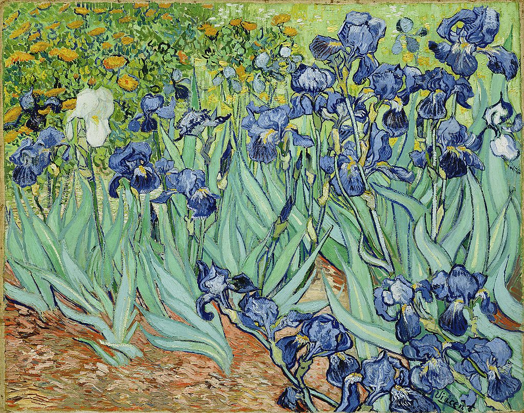 Цветы на картинах. «Ирисы», Винсент Ван Гог