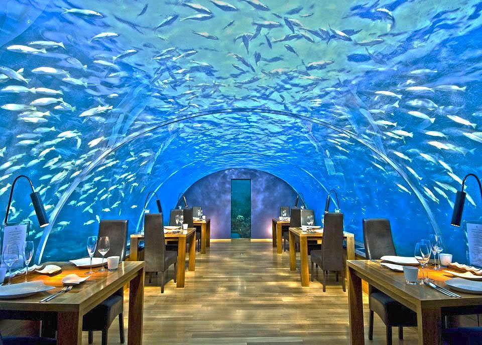 Самые необычные рестораны. Ithaa, Мальдивы